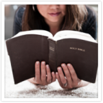 readingbiblearticle