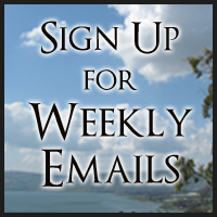 email signup